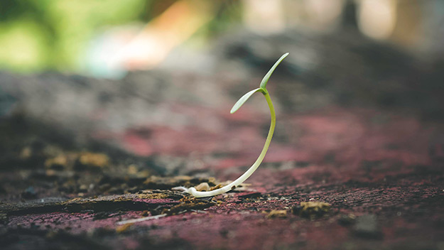 Navigate the New Economy with These Hopeful Indicators